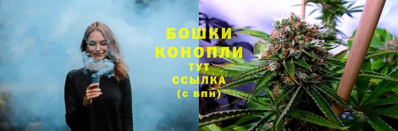 сколько стоит  Болхов  Каннабис OG Kush 